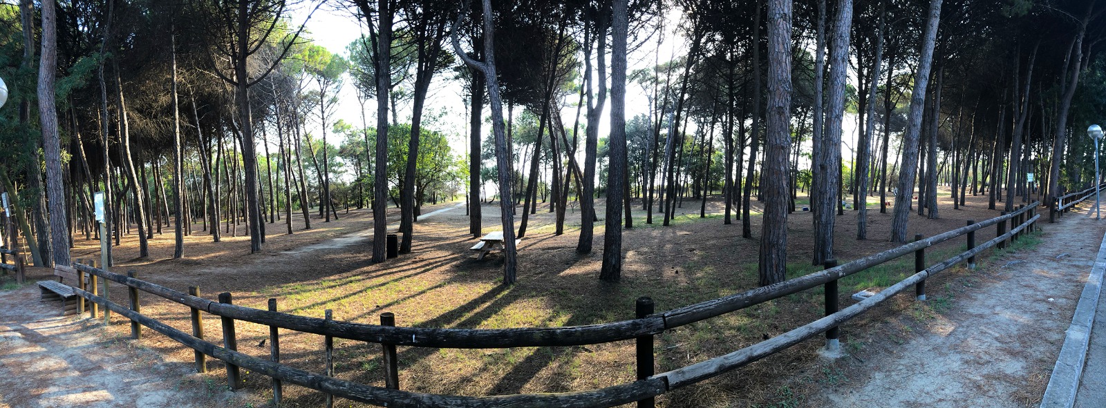 pineta antistante la CASA PER FERIE SAN GIUSEPPE